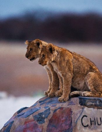 Etosha National Park, Namibia