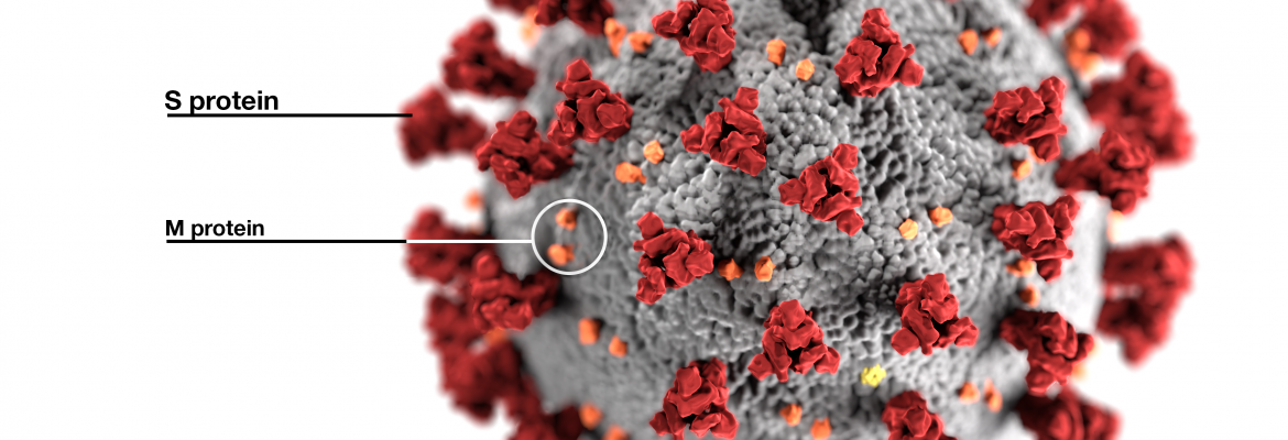 Coronavirus Research at John Hopkins