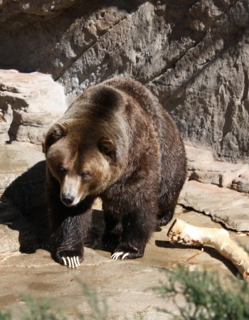 Denver Zoo