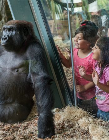 Lincoln Park Zoo