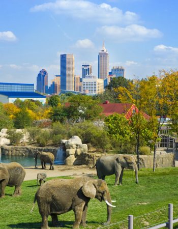 Denver Zoo