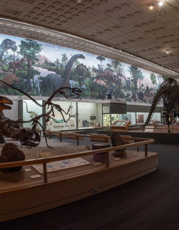 Yale Peabody Museum of Natural History