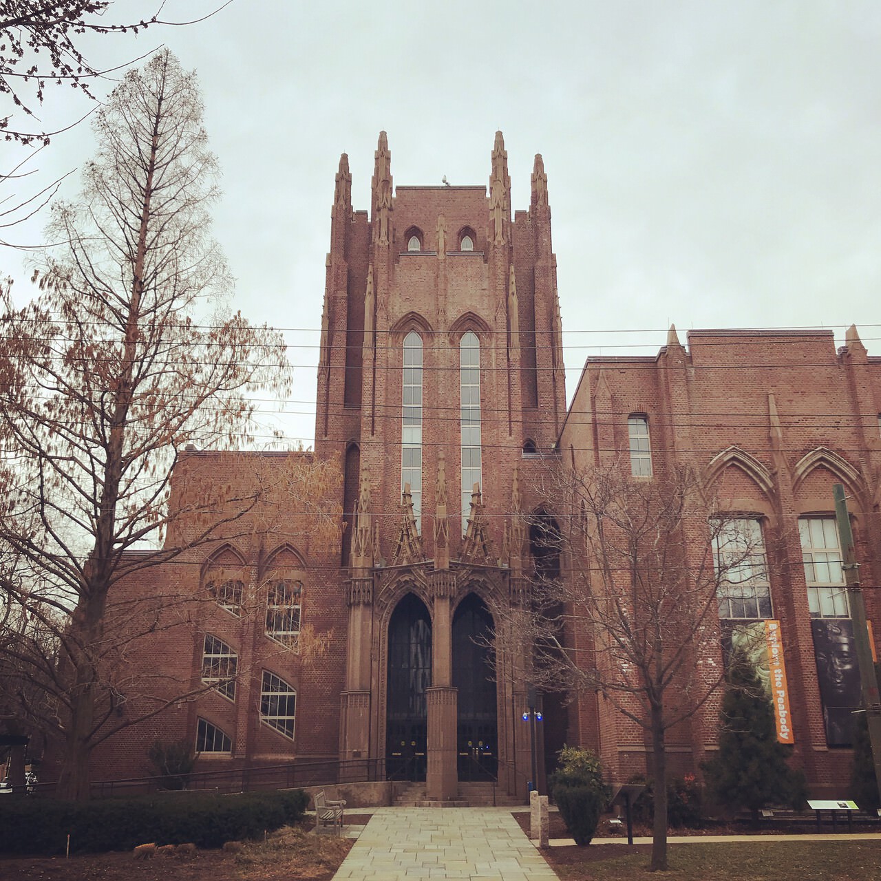 top 93+ Pictures peabody museum of natural history photos Completed