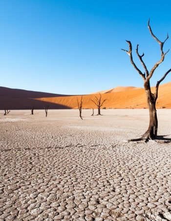 Etosha National Park, Namibia