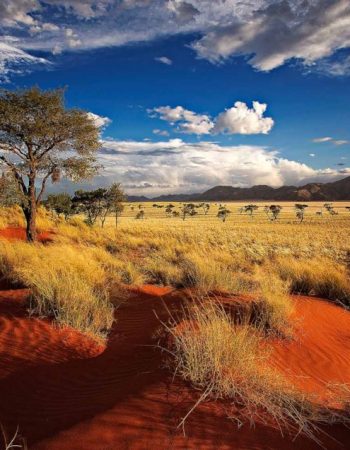 Etosha National Park, Namibia